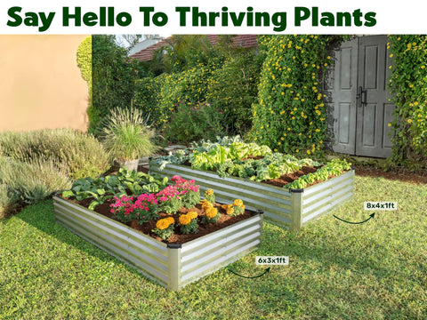 Plant & Plot community initiative garden bed supporting schools