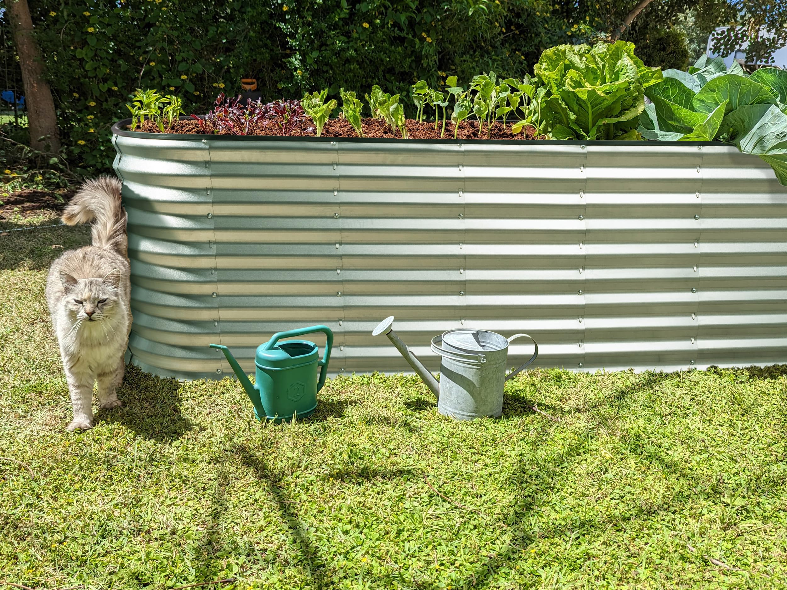 Plant & Plot durable frame shown outdoors, highlighting long-lasting garden durability.