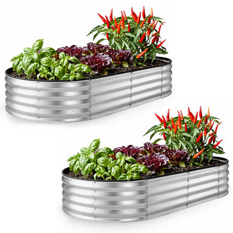 Plant & Plot galvanized raised beds 6x3x1 ft, two-pack, ideal for vegetables.