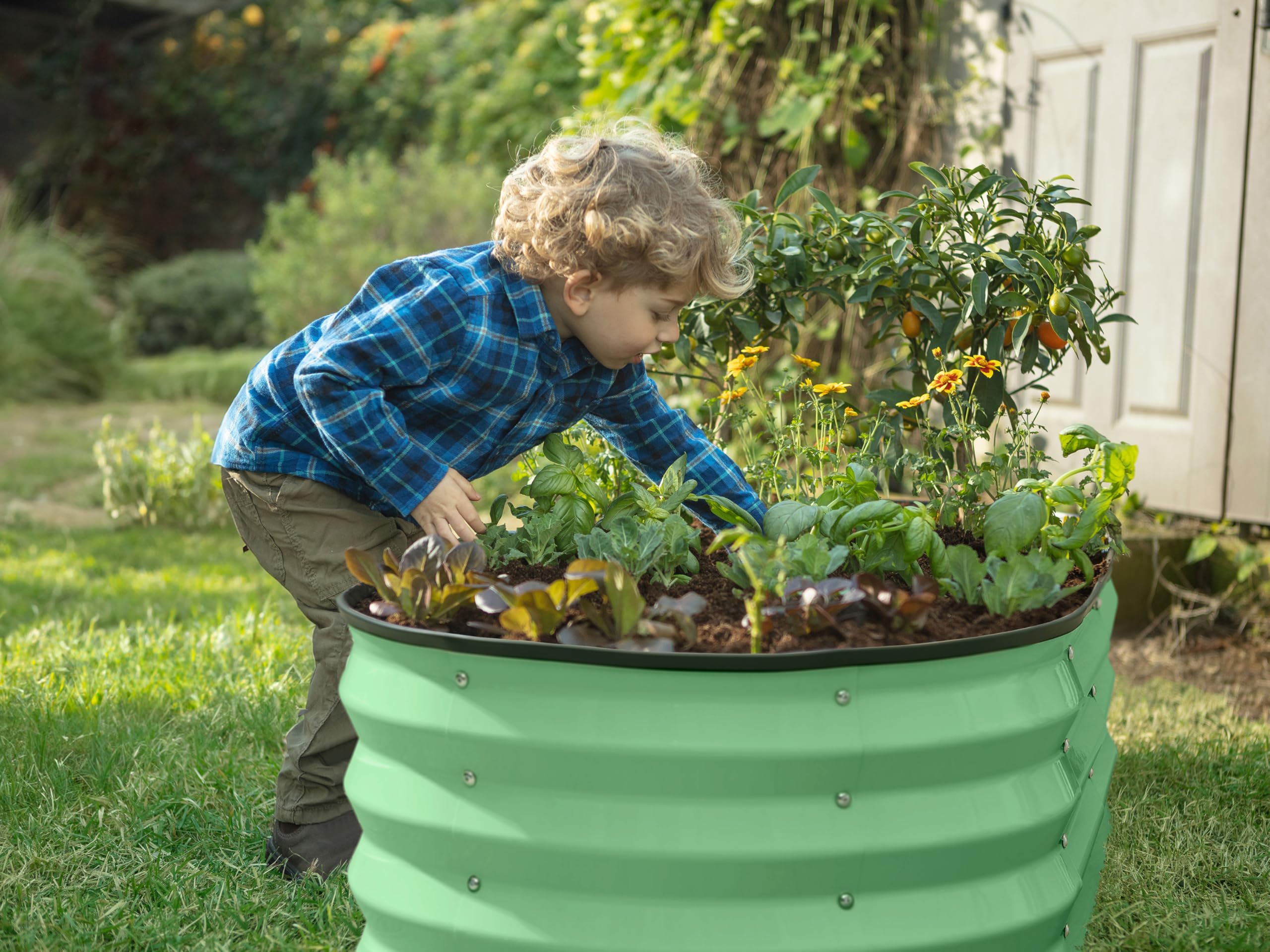 Plant & Plot raised bed filled with vegetables for a productive harvest space.