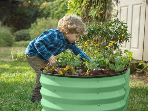 Plant & Plot raised bed filled with vegetables for a productive harvest space.