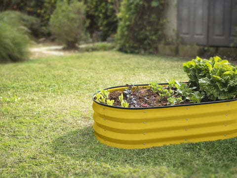 Plant & Plot yellow finish enhances curb appeal in any garden setting.