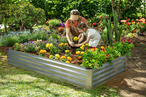 Plant & Plot large 6x3x1 ft bed versatile for vegetables, herbs, and flowers