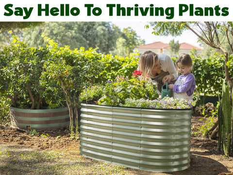 Plant & Plot open base design supports better drainage and root growth