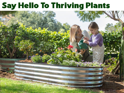 Plant & Plot open base design provides drainage for healthy roots.
