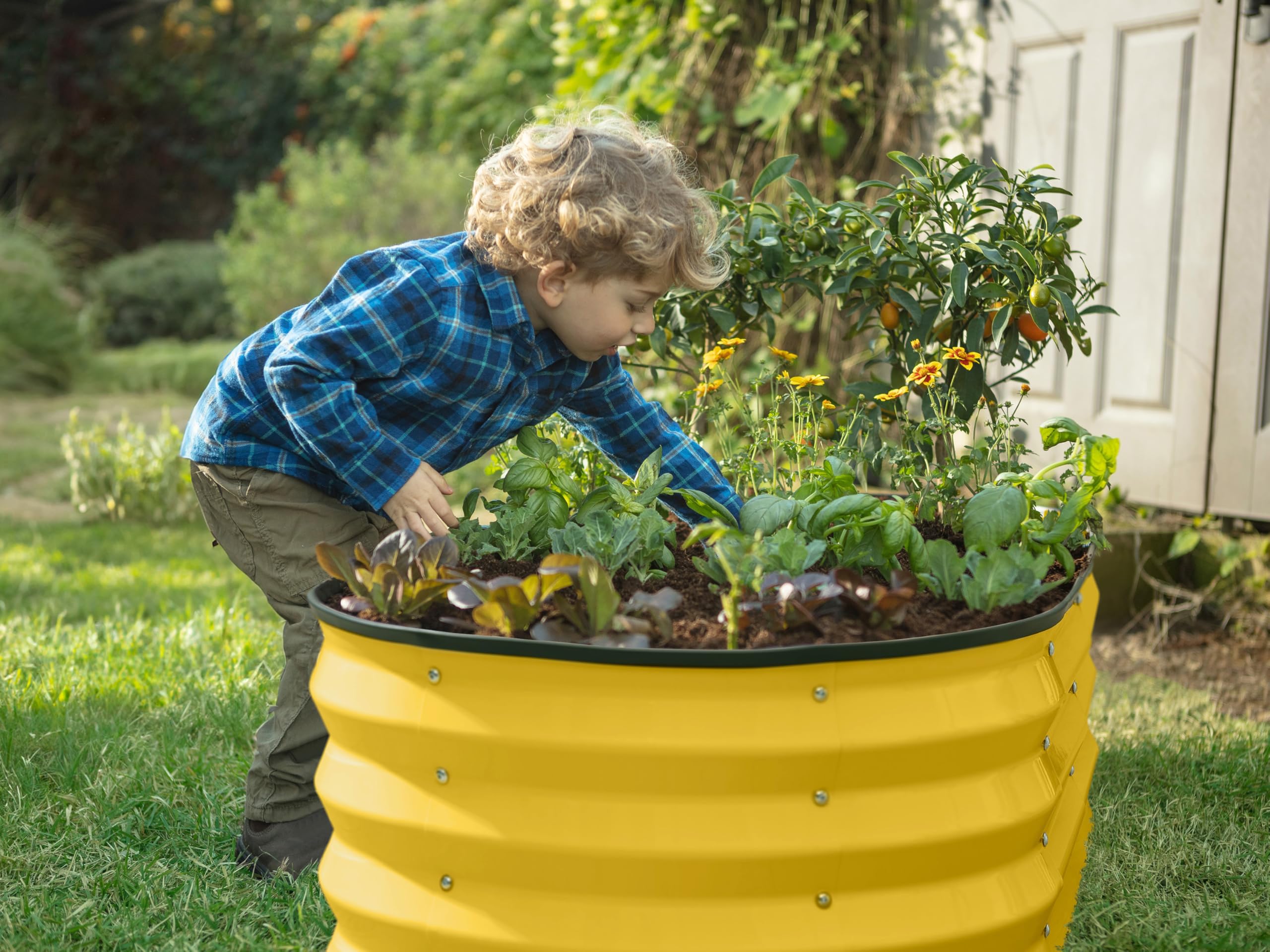 Plant & Plot raised bed in sunny outdoor space, ideal for vegetables and flowers.