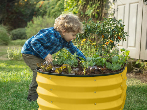 Plant & Plot raised bed in sunny outdoor space, ideal for vegetables and flowers.