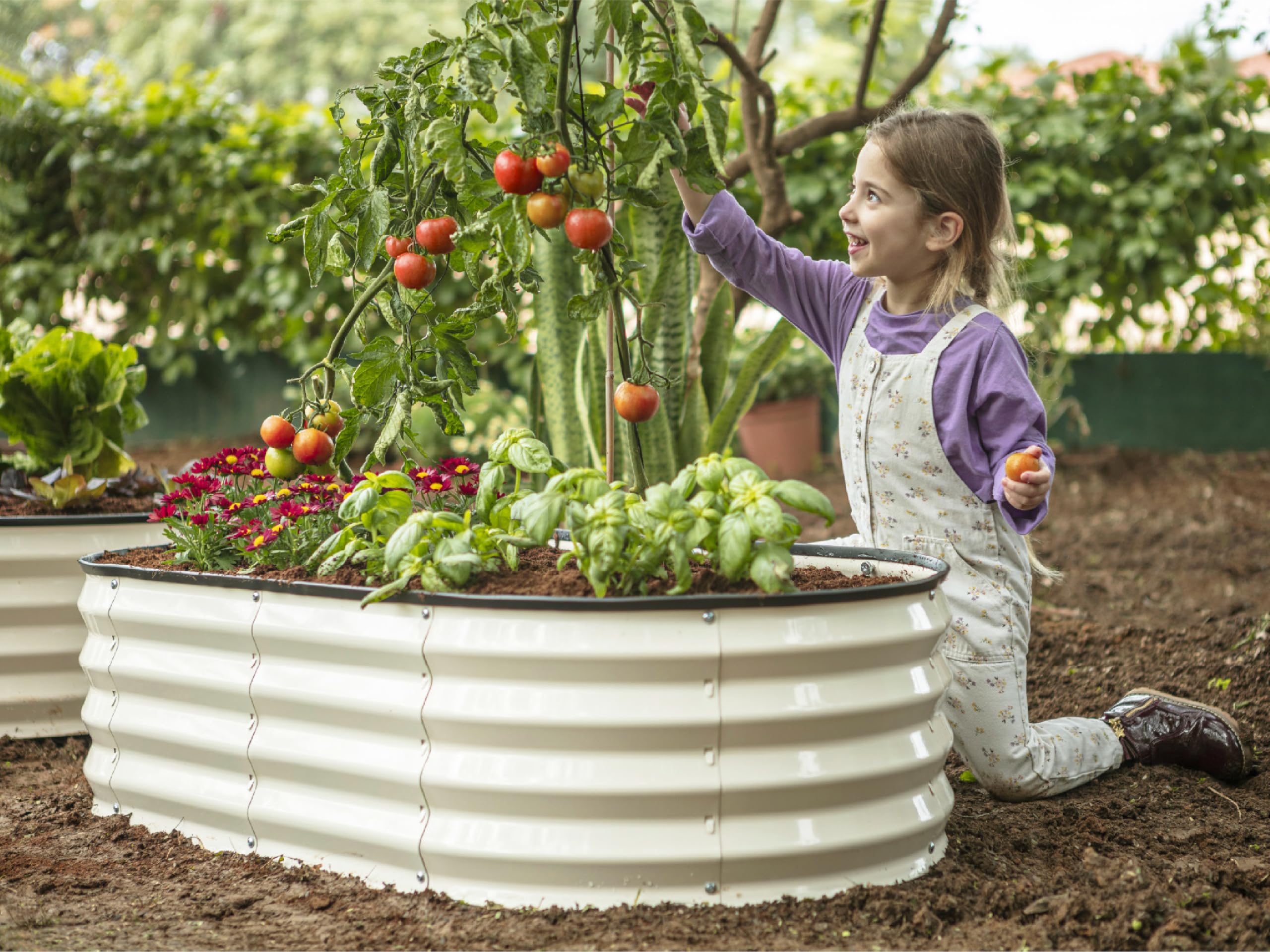Plant & Plot zinc-coated bed protects against rust in outdoor conditions.