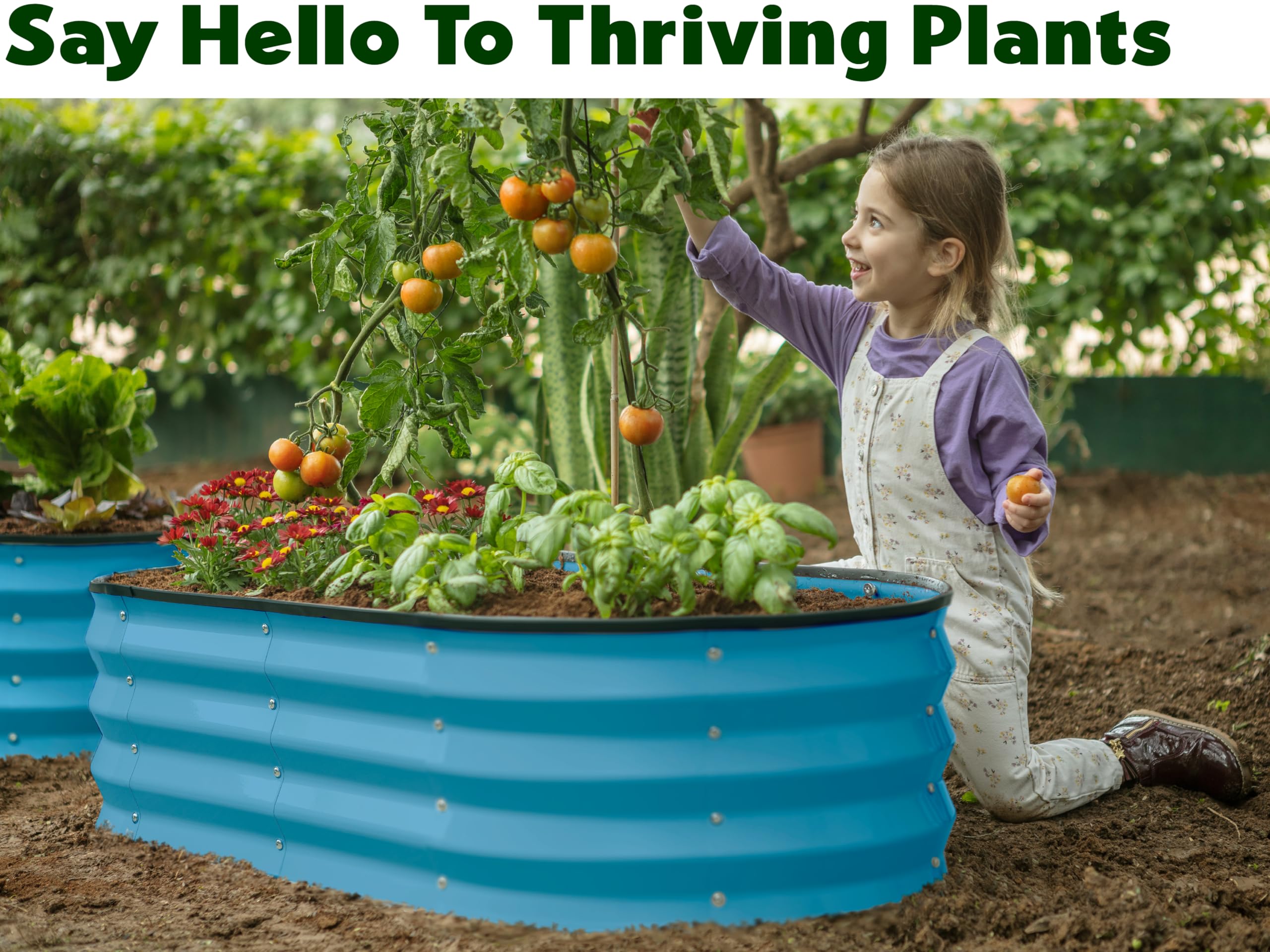 Plant & Plot teal raised garden bed top-down view with ample interior growing space.