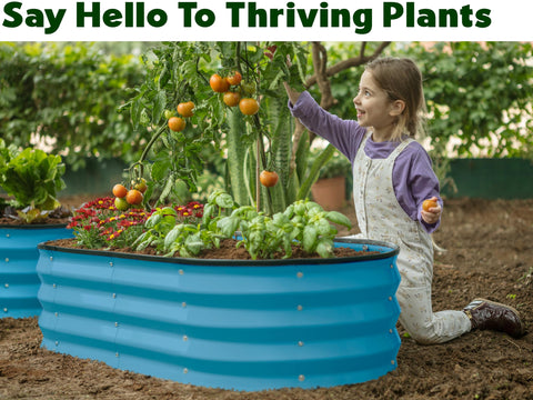 Plant & Plot teal raised garden bed top-down view with ample interior growing space.