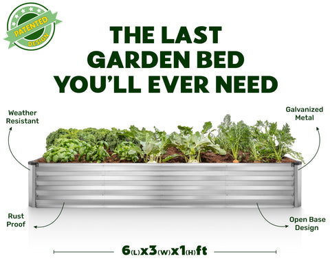 Plant & Plot 3-year warranty for long-term garden projects