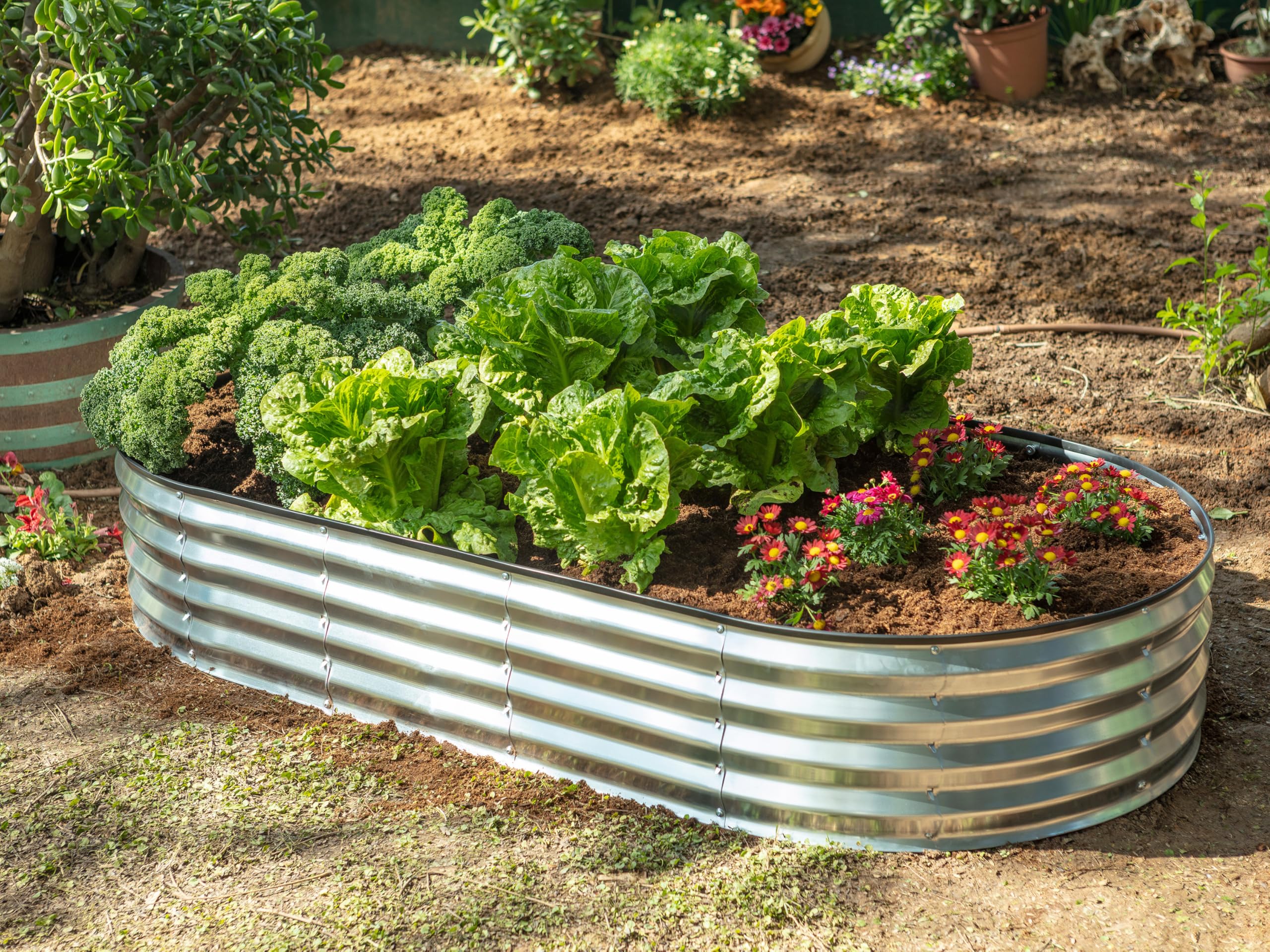 Plant & Plot 3 year warranty badge on packaging.