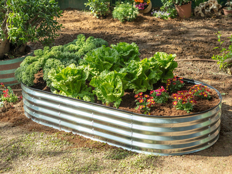 Plant & Plot 3 year warranty badge on packaging.