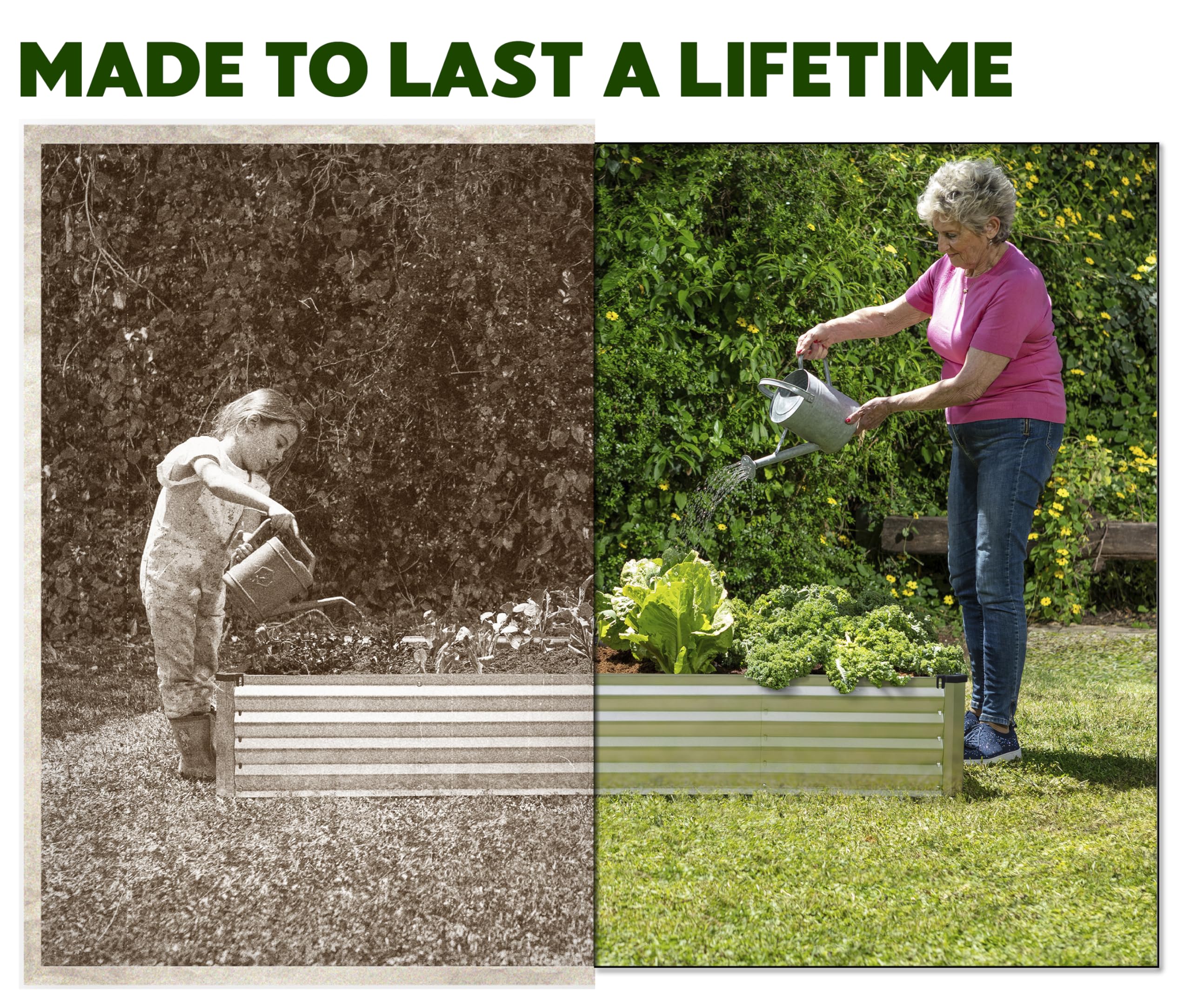 Plant & Plot zinc-coated bed resists rust, built for seasons of use