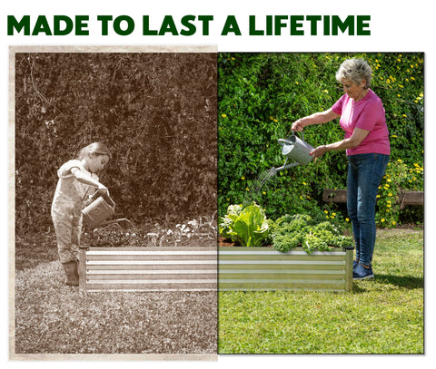Plant & Plot zinc-coated bed resists rust, built for seasons of use