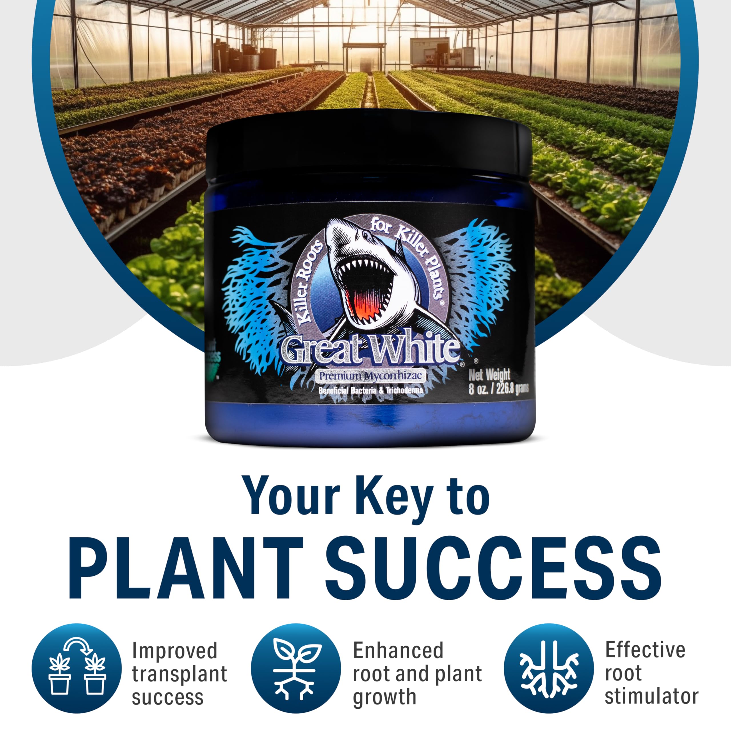 Great White 3-in-1 concentrate simplifies feeding and root support.