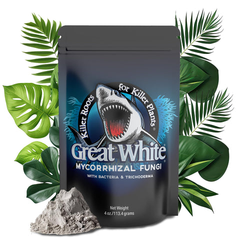 Plant Success Great White bottle pour; easy application for healthy roots.