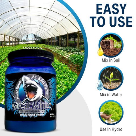 Great White increases drought resistance by improving water use.