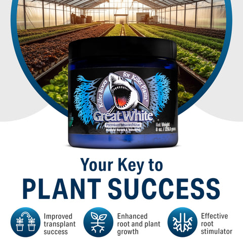 All grow systems welcome Great White for healthier root zones.