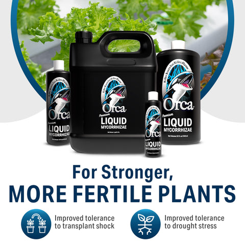 Plant Success Orca in-pot plants show thriving root systems.