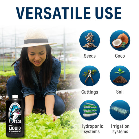 Plant Success Orca microbial culture scene hints at robust plant vitality.