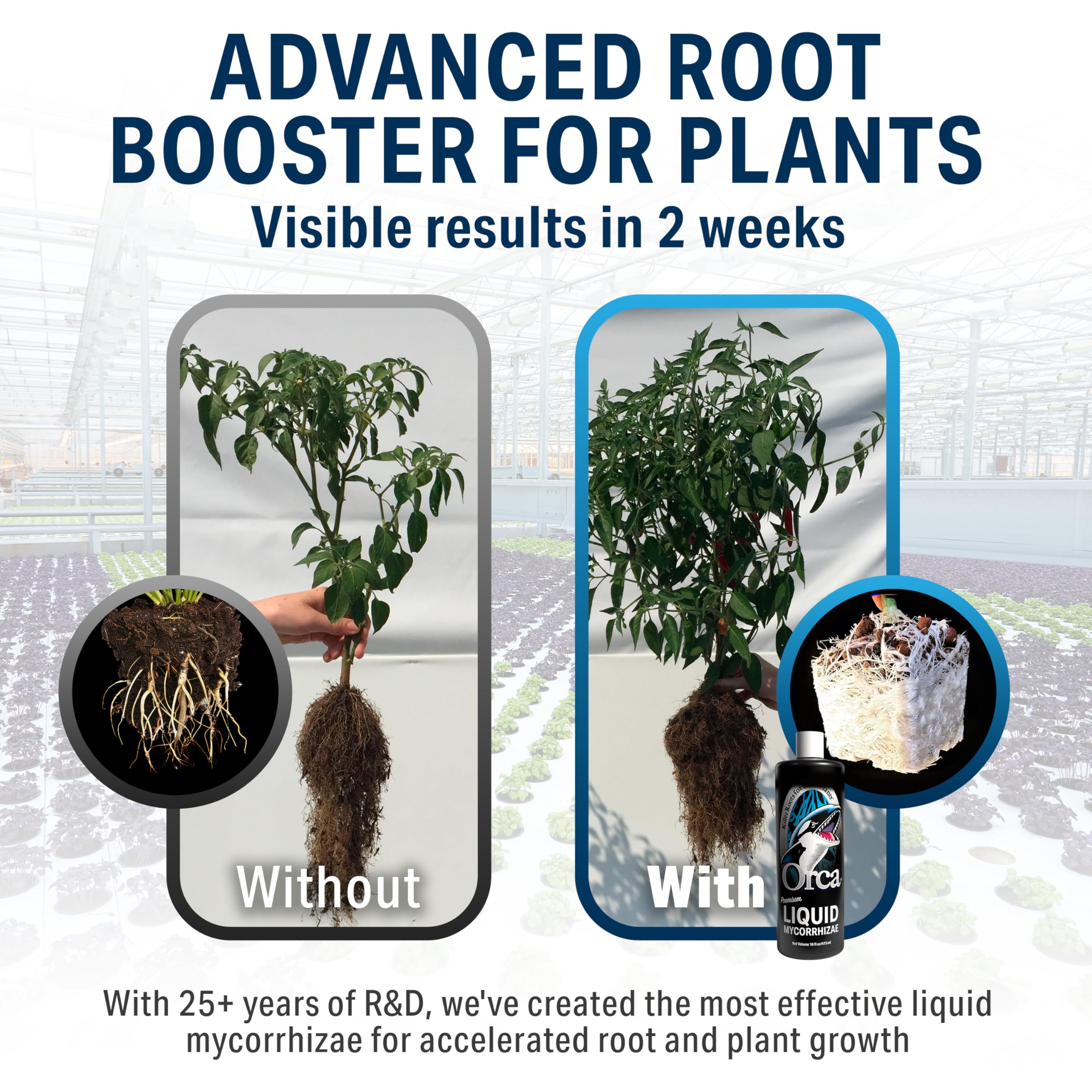 Plant Success Orca root-zone image suggests improved nutrient uptake.