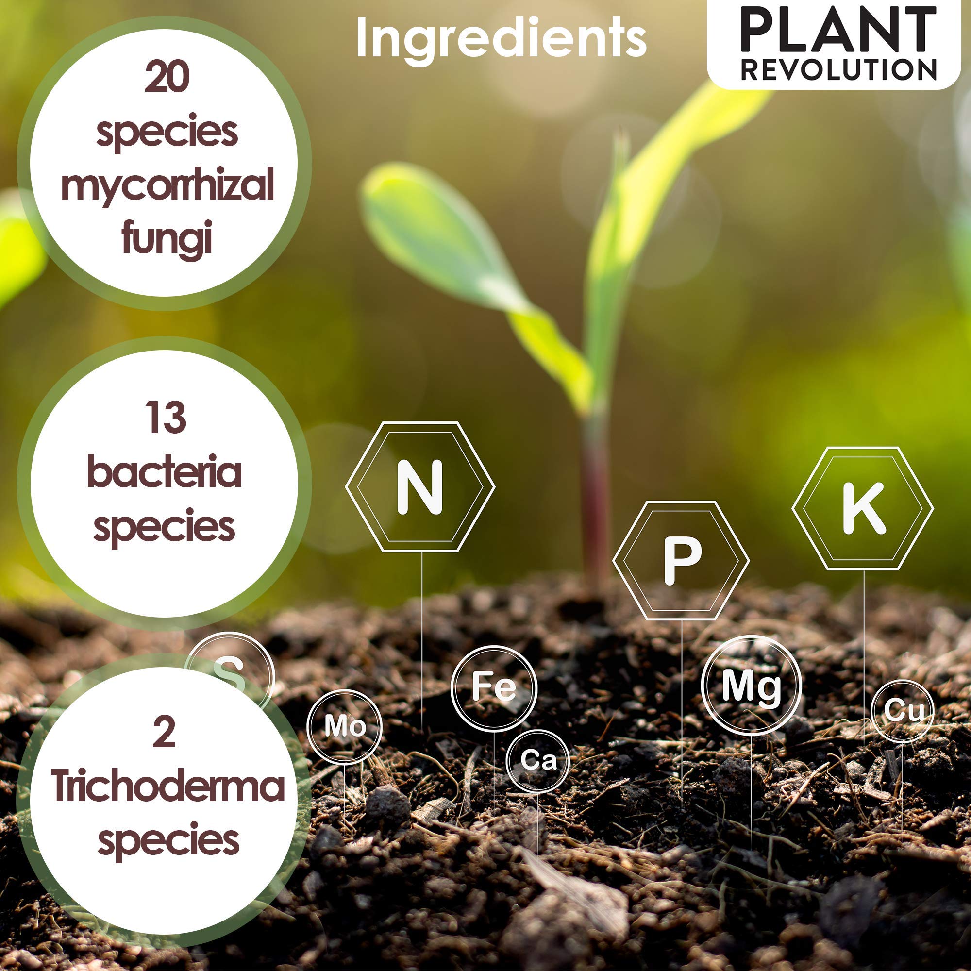 Plant Success Organics Soluble Mycorrhizae microbe-rich soil ecosystem illustration