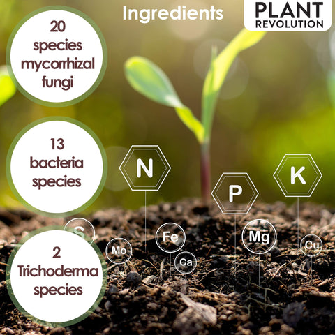 Plant Success Organics Soluble Mycorrhizae microbe-rich soil ecosystem illustration