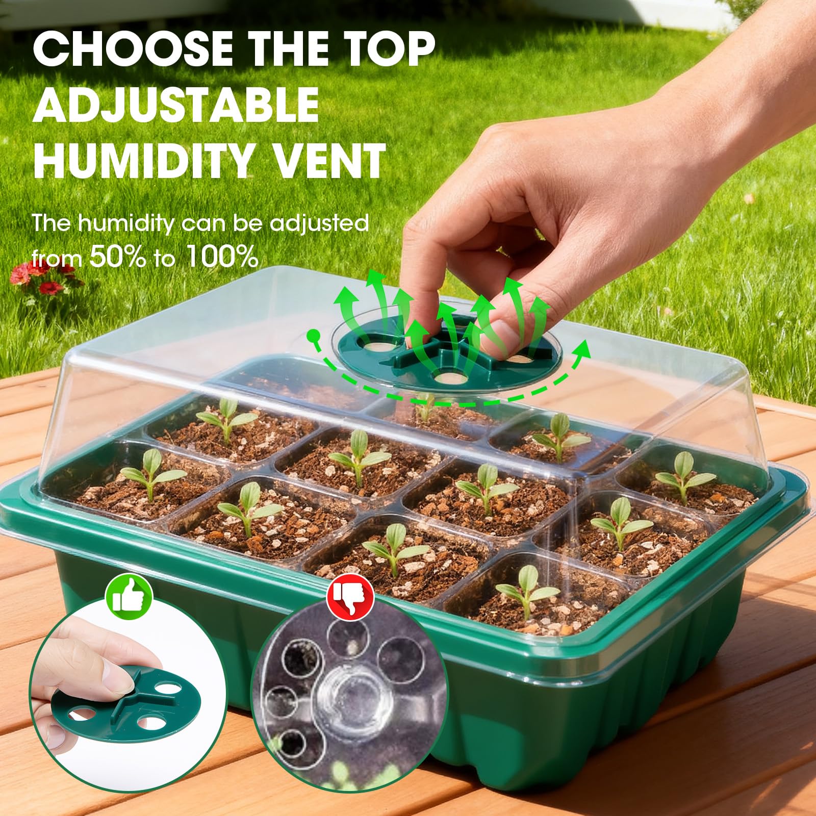 PlantaPulse 60-cell transparent base tray reveals root growth through clear cells.