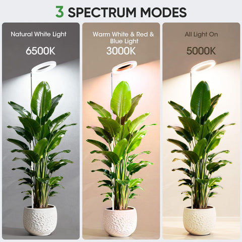 PlantaPulse light offering 6500K daylight spectrum for seedlings.