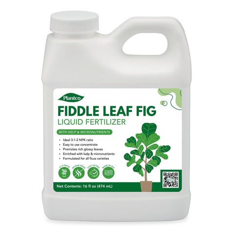 Plantco Fiddle Leaf Fig Fertilizer bottle for vibrant, glossy leaves.