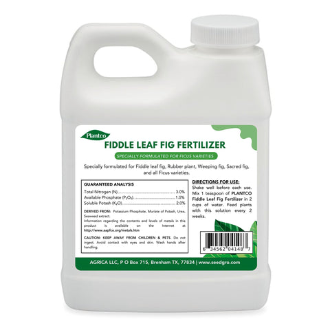Plantco Fiddle Leaf Fig Fertilizer concentrate for easy indoor feeding.