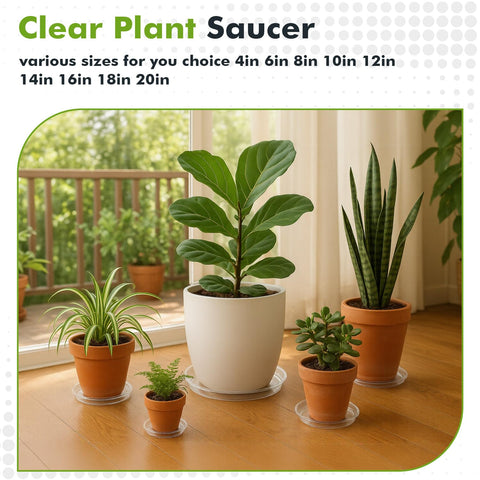 Planterhoma 20-inch clear saucer suits oversized pots on patios.