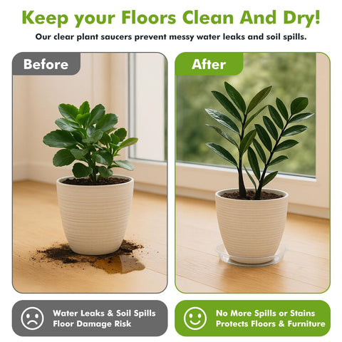 Planterhoma 50-pack clear saucer set for bulk plant care and decor.