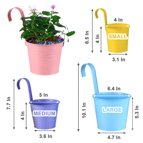 Planterhoma 6-4 inch plant pots with drainage holes support healthy growth.