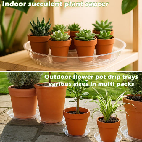 Planterhoma 6-inch clear plant saucer pack for bulk plant setups and replacements