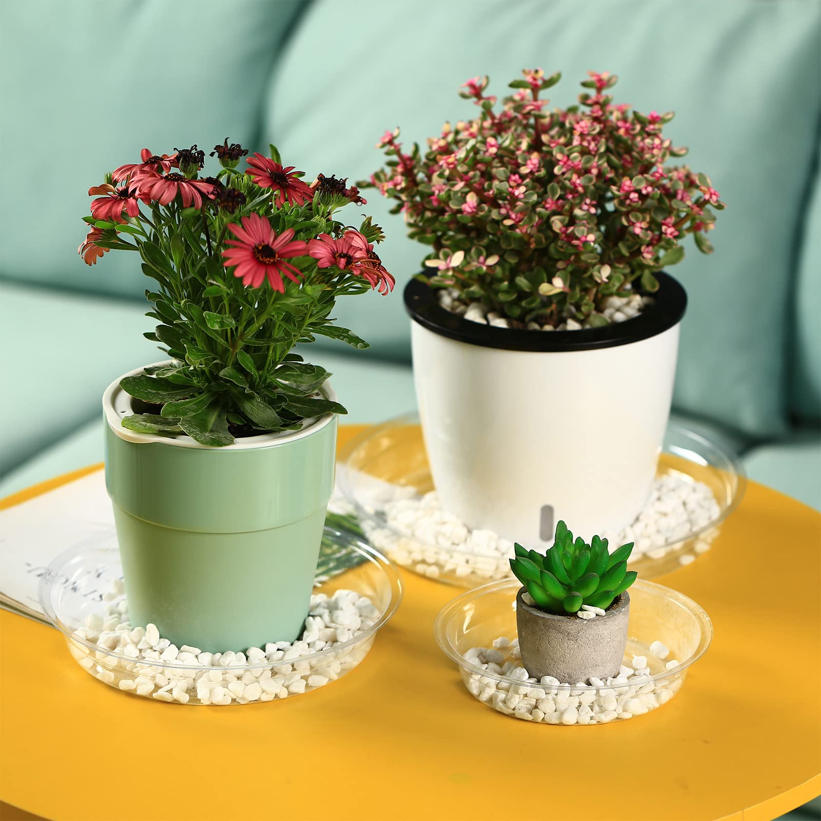 Planterhoma BPA-free recyclable material promotes safer gardening.