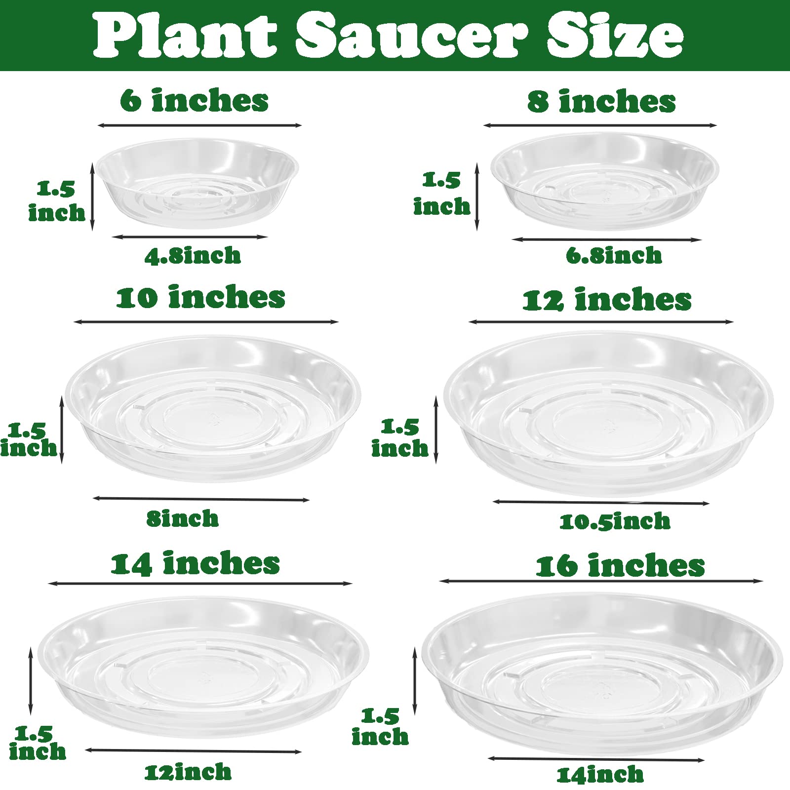 Planterhoma clear plastic saucer 6inch view demonstrating water level visibility
