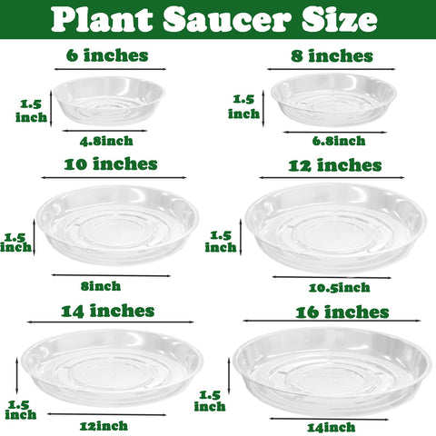 Planterhoma clear plastic saucer 6inch view demonstrating water level visibility