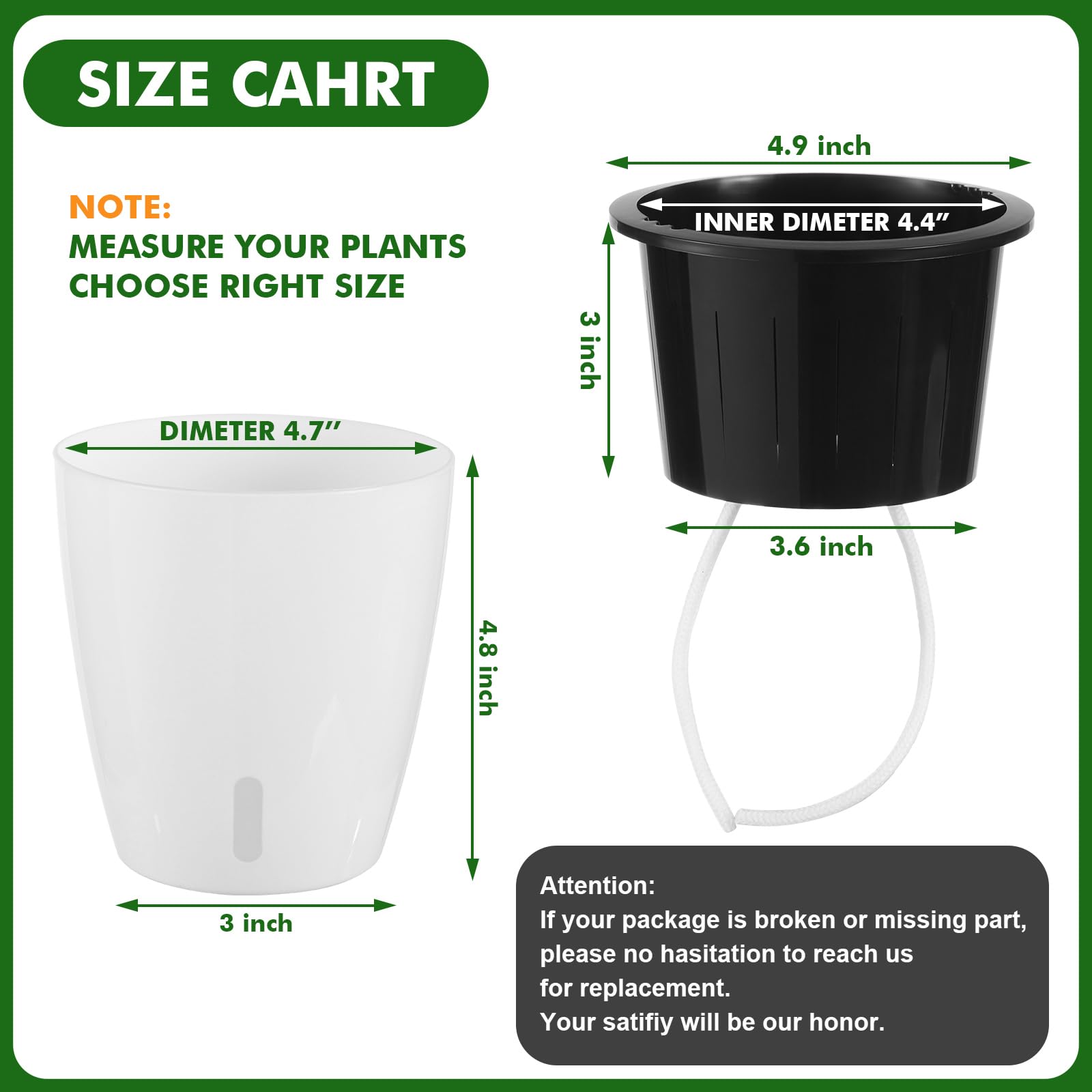 Planterhoma Devil's ivy pot with wick maintains steady moisture levels.