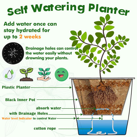 Planterhoma drainage holes ensure airflow and prevent soggy soil.