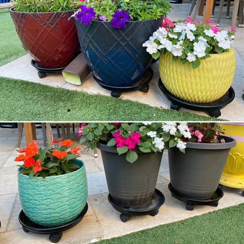 Planterhoma bulk-pack option offers value for multiple rooms and setups