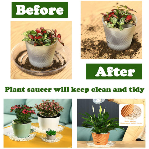 Planterhoma indoor-outdoor clear saucer with 6inch diameter for versatile use