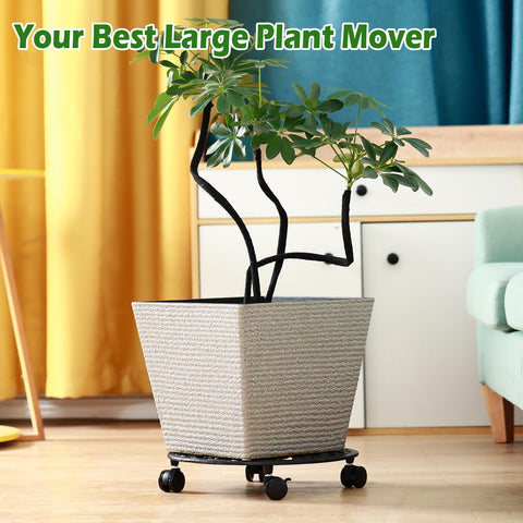 Planterhoma indoor plant roller stand aids smooth transfers between spots