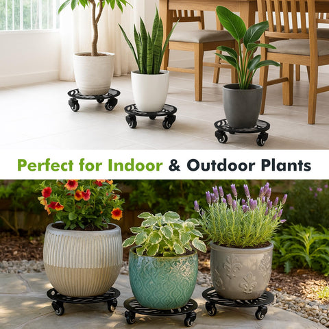 Planterhoma rolling dolly helps move large pots and trees across rooms and patios.