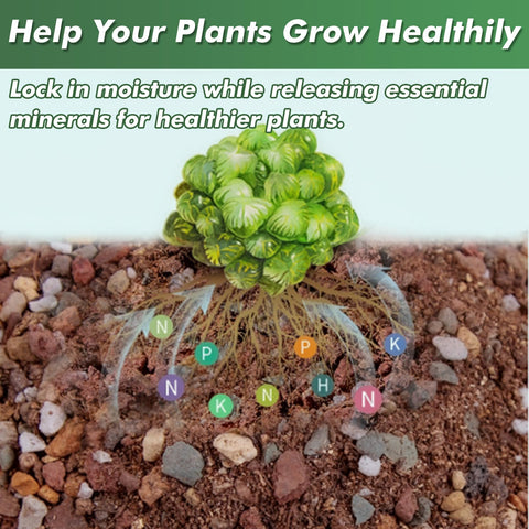 Planterhoma lava rocks enhance fairy garden scenes with durable stones