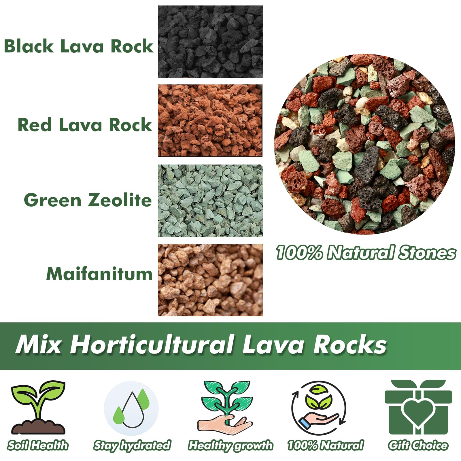 Planterhoma lava rocks balance moisture in succulent and cactus pots