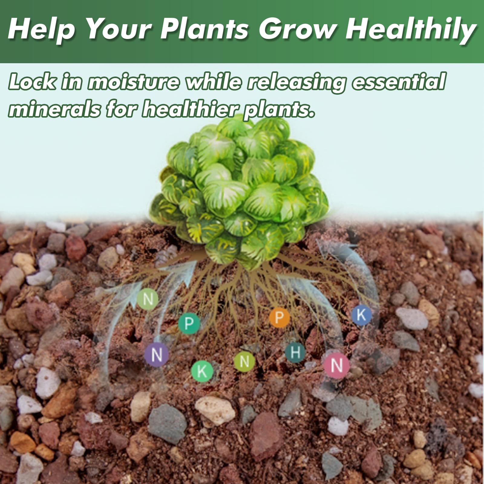 Planterhoma lava rocks top-dressing on succulent pot.