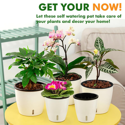 Planterhoma orchid pot in white, designed for tidy watering routines.