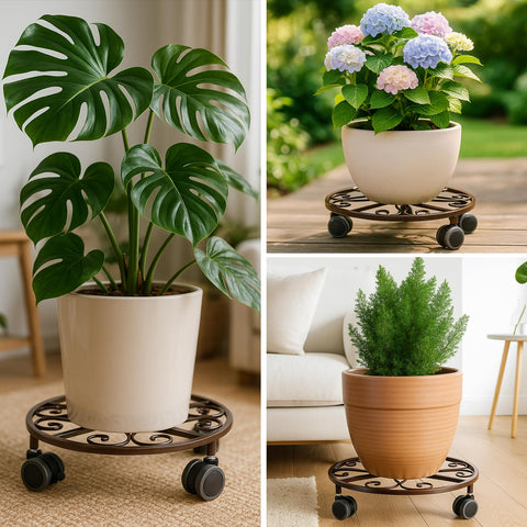 Planterhoma plant dolly with casters offers smooth rolling